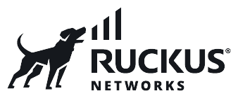 Ruckus Wireless